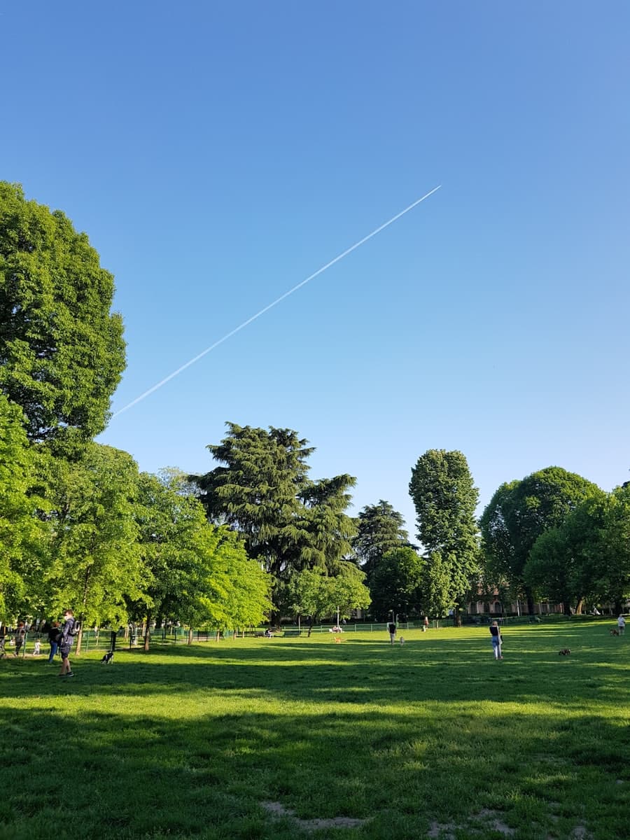 Parques, jardines y espacio público